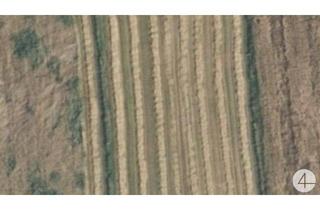 Gewerbeimmobilie kaufen in 3830 Waidhofen an der Thaya, landwirtschaftlich genutzte Grundflächen