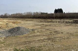 Grundstück zu kaufen in Untervogau, 8472 Vogau, ++ LAGE, LAGE ++ GEWERBEGRUNDSTÜCK an der A9 AUTOBAHNABFAHRT bzw. -AUFFAHRT ST. VEIT VOGAU ++ TEILUNG MÖGLICH ++ BD KG 0,2 - 1,0