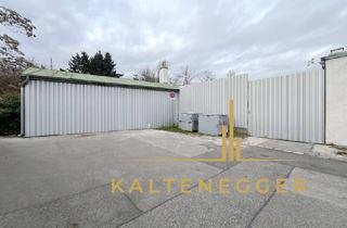 Immobilie mieten in Biedermanngasse, 1120 Wien, Lagerfläche in der Biedermanngasse – ca. 161 m² zur befristeten Vermietung