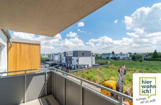 Wohnung mieten in Thomas Scheider Gasse, 2201 Gerasdorf, Dachgeschoß: Helle und freundliche 2-Zimmer-Wohnung im Grünen mit Süd-Balkon