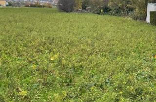 Grundstück zu kaufen in 7061 Trausdorf an der Wulka, Baugrundstück - Sackgasse - Fernsicht