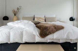 Wohnung mieten in Hasnerplatz, 8010 Graz, Geidorf Hasnerplatz und Murpromenade Nähe, gepflegte ruhige 2 Zimmerwohnung + sep. Küche mit Balkon