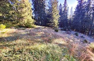 Grundstück zu kaufen in 8592 Kleinlobming, Ruhiges Freizeitgrundstück im Grünen – ideal für ein Ferienhaus.