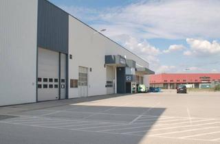 Lager mieten in Iz Süd, 2351 Wiener Neudorf, Ebenerdige Lagerhalle mit 294m² im IZ-Süd in Kombination mit Büro ab ca. 113m²