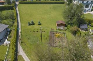 Grundstück zu kaufen in Kremsmünster-Kirchdorf-Wels, 4551 Ried im Traunkreis, Bauträger-Grundstück in Ried/Traunkreis, teilweise 3-geschossig möglich