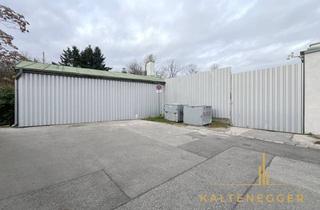 Lager mieten in Biedermanngasse, 1120 Wien, Lagerfläche in der Biedermanngasse - ca. 161 m² zur befristeten Vermietung