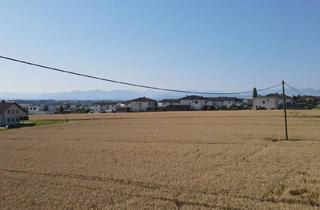 Wohnung kaufen in Kornweg 02, 4531 Kematen an der Krems, Erstbezug in Kematen - Nähe Golfplatz: Moderne Wohnung mit Garten,Terrasse oder Balkon & Carport!