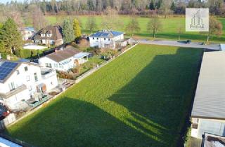 Grundstück zu kaufen in 6971 Hard, Seltene Gelegenheit: Großes Baugrundstück in Top-Lage