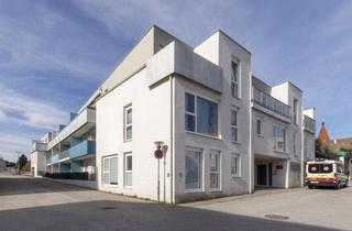 Wohnung mieten in Hammergasse, 3150 Wilhelmsburg, BETREUBARES WOHNEN: Südostseitige Wohnung mit Terrasse