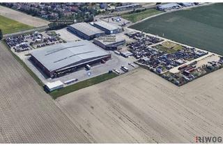 in 2301 Groß-Enzersdorf, 6.500m² unbefristeter Baurechtsrechtsgrund im Betriebsgebiet | auch Miete möglich