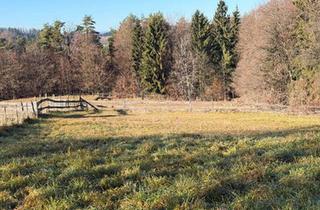 Grundstück zu kaufen in 8076 Vasoldsberg, Ihr Platz zum Ankommen – Baugrundstück in ruhiger Lage auf der Schemerlhöhe nächst Laßnitzhöhe