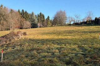 Grundstück zu kaufen in 8076 Vasoldsberg, „Seltene Gelegenheit: 1.115 m² Baugrund in Ruhelage – Schemerlhöhe bei Laßnitzhöhe“