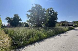 Grundstück zu kaufen in Schlatt, 6973 Höchst, Baugrundstück in beliebtester Wohnlage