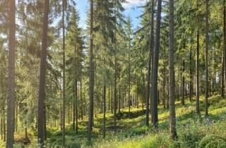 Grundstück zu kaufen in 8772 Timmersdorf, 4 ha Wald in Traboch / Leoben