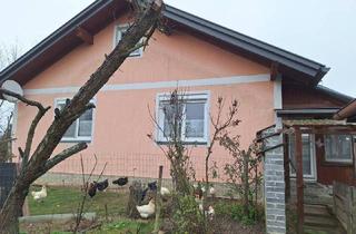 Einfamilienhaus kaufen in 7521 Eberau, Eberau: Nettes Einfamilienhaus in ruhiger Seitenstraße