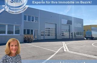 Büro zu mieten in 2104 Spillern, GENIESSEN SIE ENTSPANNTES ARBEITEN IM GEWERBEPARK!