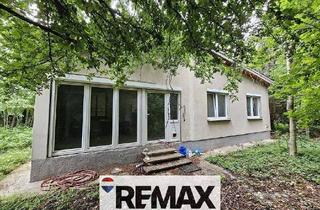 Haus kaufen in 2440 Mitterndorf an der Fischa, "SANIERUNGSPROJEKT MIT VIEL POTENZIAL | ca. 1.085 m² Grundstücksfläche | Ruhelage in Mitterndorf an der Fischa"