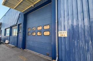 Büro zu mieten in Talpagasse, 1230 Wien, 889 M² LAGERHALLE MIT MODERNEM KLIMABÜRO IN 1230 WIEN (TALPAGASSE 6, HALLE 7) – TOP LAGE BEI DER U6 & AUTOBAHN!