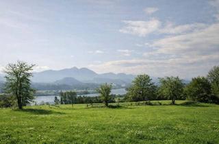 Grundstück zu kaufen in 9100 Penk, Panoramagrundstück in traumhafter Ruhelage!