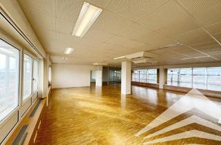 Büro zu mieten in Am Winterhafen 13, 4020 Linz, Helles 250 m² Büro mit großartiger Aussicht am Linzer Winterhafen!