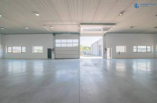 Büro zu mieten in Prinz-Eugen-Straße, 2442 Unterwaltersdorf, Wieder verfügbar: Geräumige und flexible Lagerhalle mit hoher Nutzfläche in Ebreichsdorf (Unterwaltersdorf - 2442)
