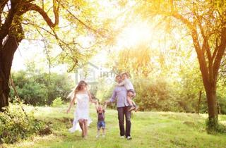 Grundstück zu kaufen in 8072 Dillach, Baugrundstück mit idealem Preis-Leistungs-Verhältnis in beliebter Wohnlage