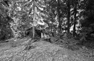 Grundstück zu kaufen in Rosental, 2500 Baden, Großzügiges Grundstück mit Altbestand (kleines Häuschen) zu verkaufen