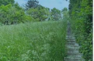 Einfamilienhaus kaufen in 3400 Klosterneuburg, EINFAMILIENHAUS ZUM MODERNISIEREN IN HANGLAGE