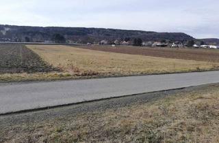 Grundstück zu kaufen in 7453 Steinberg, DB IMMOBILIEN | Nähe Oberpullendorf - zukünftiger Betriebsgrund mit Potenzial