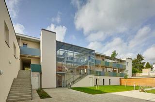 Wohnung mieten in Wiener Straße 4/4, 3550 Langenlois, Wiener Straße 4/4