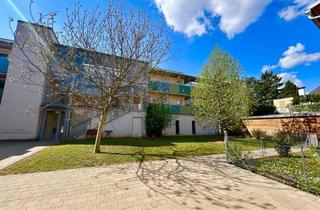 Wohnung mieten in Wiener Straße 4/4, 3550 Langenlois, Wiener Straße 4/4