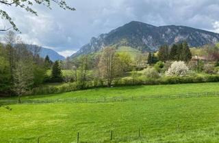 Grundstück zu kaufen in 2651 Reichenau an der Rax, Traumkulisse! Freier Blick auf die Rax!