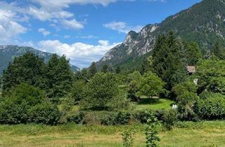 Grundstück zu kaufen in 2651 Reichenau an der Rax, Traumkulisse! Freier Blick auf die Rax!