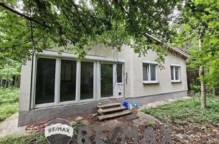 Haus kaufen in 2440 Mitterndorf an der Fischa, "SANIERUNGSPROJEKT MIT VIEL POTENZIAL | ca. 1.085 m² Grundstücksfläche | Ruhelage in Mitterndorf an der Fischa"