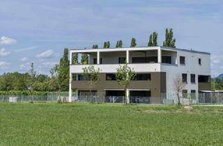 Wohnung mieten in 6900 Bregenz, Neubau 3 Zi. Wohnung mit Terrasse und Extras in Top-Lage - OG