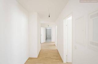 Wohnung mieten in 2000 Stockerau, Perfekte 3 Zimmer plus großer Freifläche