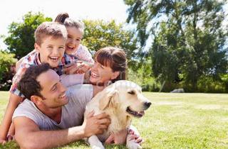 Grundstück zu kaufen in 8072 Fernitz, Preisreduktion!! Sonniges Baugrundstück in Toplage – Ruhe, Infrastruktur & Graz-Nähe perfekt vereint