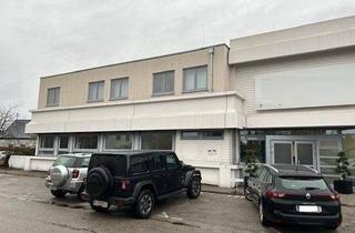 Büro zu mieten in 4061 Pasching, Lagerfläche ebenerdig mit ca. 200 m² Bürofläche in verkehrsgünstiger Lage SEHR GÜNSTIG