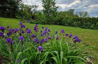 Grundstück zu kaufen in 3430 Chorherrn, NEUER PREIS! Großes Grundstück mit ca. 2.965 m² und Potenzial für Neubau-, Erweiterungs- oder Umgestaltungsprojekte