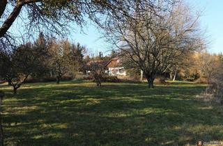 Haus kaufen in 7561 Poppendorf im Burgenland, Absolute Einzellage mit einzigartigem Fernblick, 1,6 ha