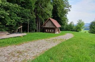Grundstück zu kaufen in 8453 Sankt Johann im Saggautal, 8453 Untergreith - Grundstueck mit Bestand in Alleinlage mit unverbaubarer Aussicht !