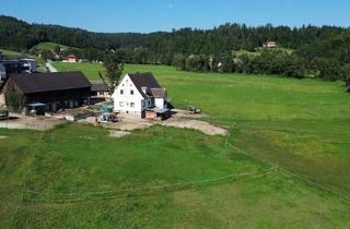 Lager kaufen in 8570 Voitsberg, Landwirtschaftliches Anwesen mit Entwicklungspotenzial - 4,3 ha nahe Voitsberg