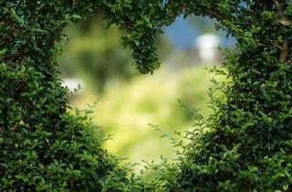 Wohnung mieten in 8444 Sankt Andrä im Sausal, St. Andrä: Helle, geförderte 3-Zimmer-Wohnung mit Parkplatz!