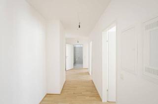 Wohnung mieten in 2000 Stockerau, Perfekte 3 Zimmer plus großer Freifläche