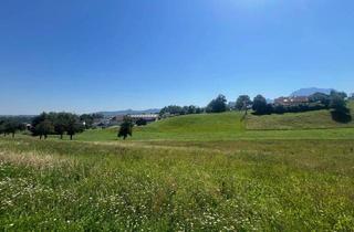 Grundstück zu kaufen in Bründlweg, 4694 Ohlsdorf, Sonniges Eckgrundstück in idealer Größe nähe Gmunden (provisionsfrei)