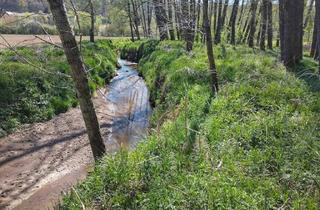 Grundstück zu kaufen in 8082 Kirchbach in Steiermark, Kleingarten zu kaufen am Bach