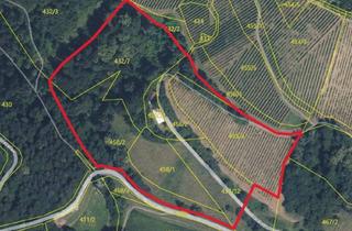 Haus kaufen in Kranach 93, 8462 Gamlitz, Scheibengrundstück mit Altbestand in Kranach, Gemeinde Gamlitz