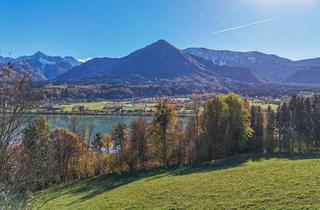 Grundstück zu kaufen in 9072 Ludmannsdorf, Traumgrundstück für Individualisten in sonnenverwöhnter Lage