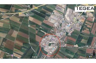Gewerbeimmobilie kaufen in 2201 Gerasdorf, Mehrzweck-Gewerbeobjekt in der Nähe der S1 und A5: Verkaufsfläche mit Lager + Werkstatt + Büro