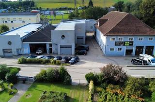 Gewerbeimmobilie kaufen in 4710 Grieskirchen, *RENDITEOBJEKT* Vielseitiges Gewerbeobjekt mit Lagerflächen, Büros und Arbeiterwohnungen am Stadtrand